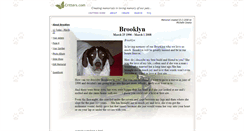 Desktop Screenshot of brooklyn.critters.com